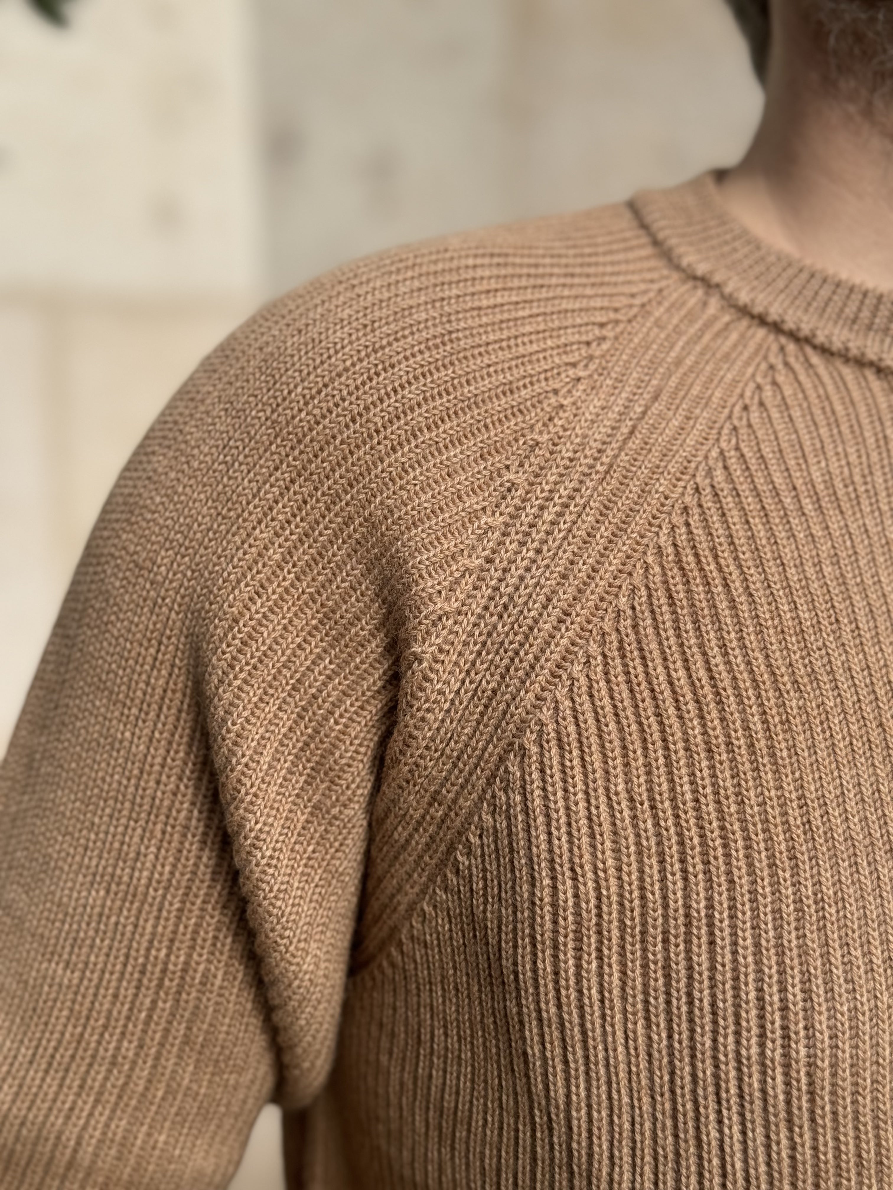 CREWNECK RAGLAN WOOL - CAMEL