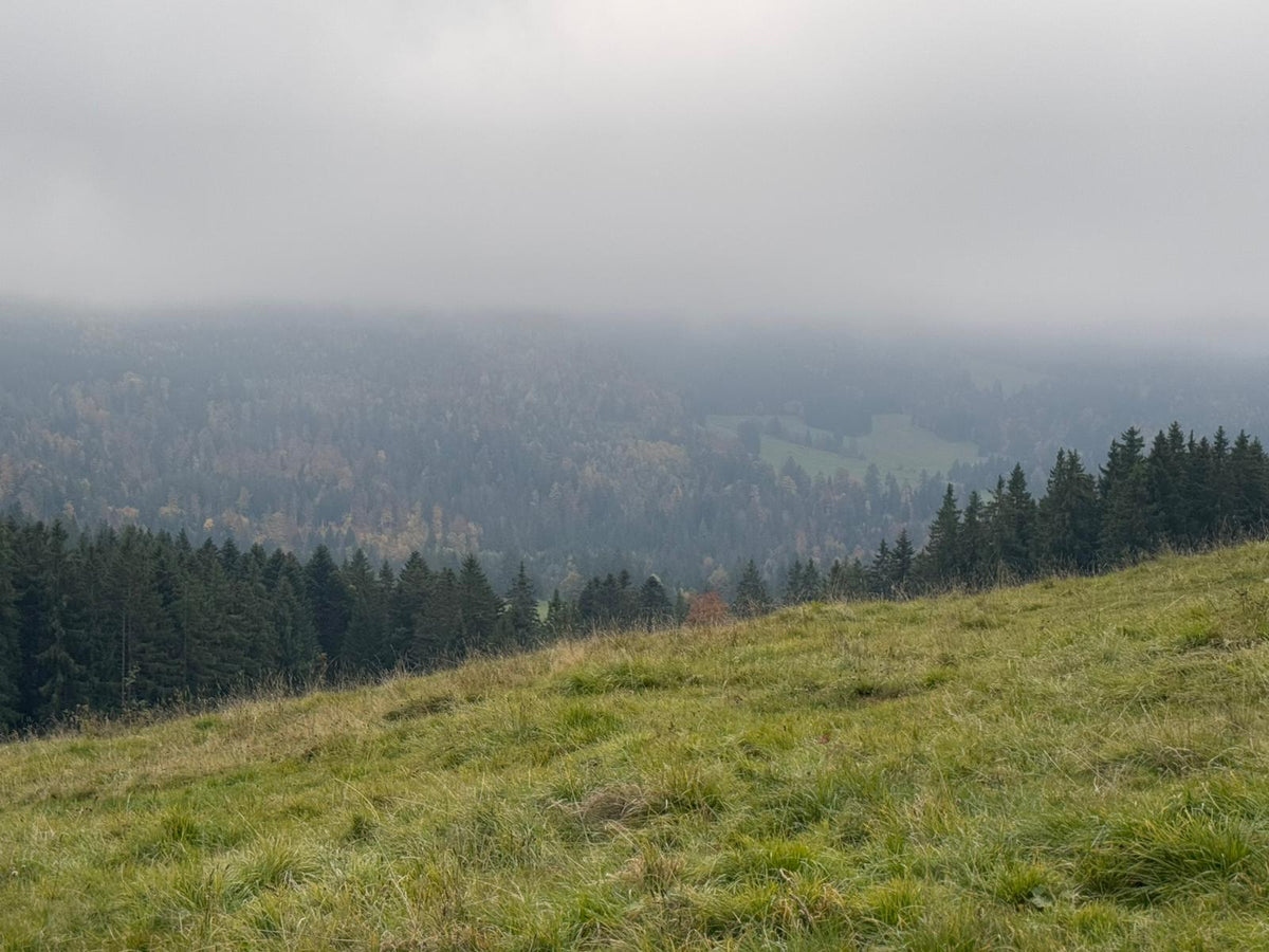 Waterproof Field Jacket with Fur Collar - Navy